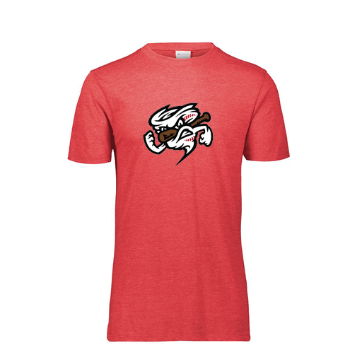 [FTSCUBRD-AS-LOGO1] Decker Men's Tri-Blend T-Shirt - Short Sleeve (Adult S, Red, Logo 1)
