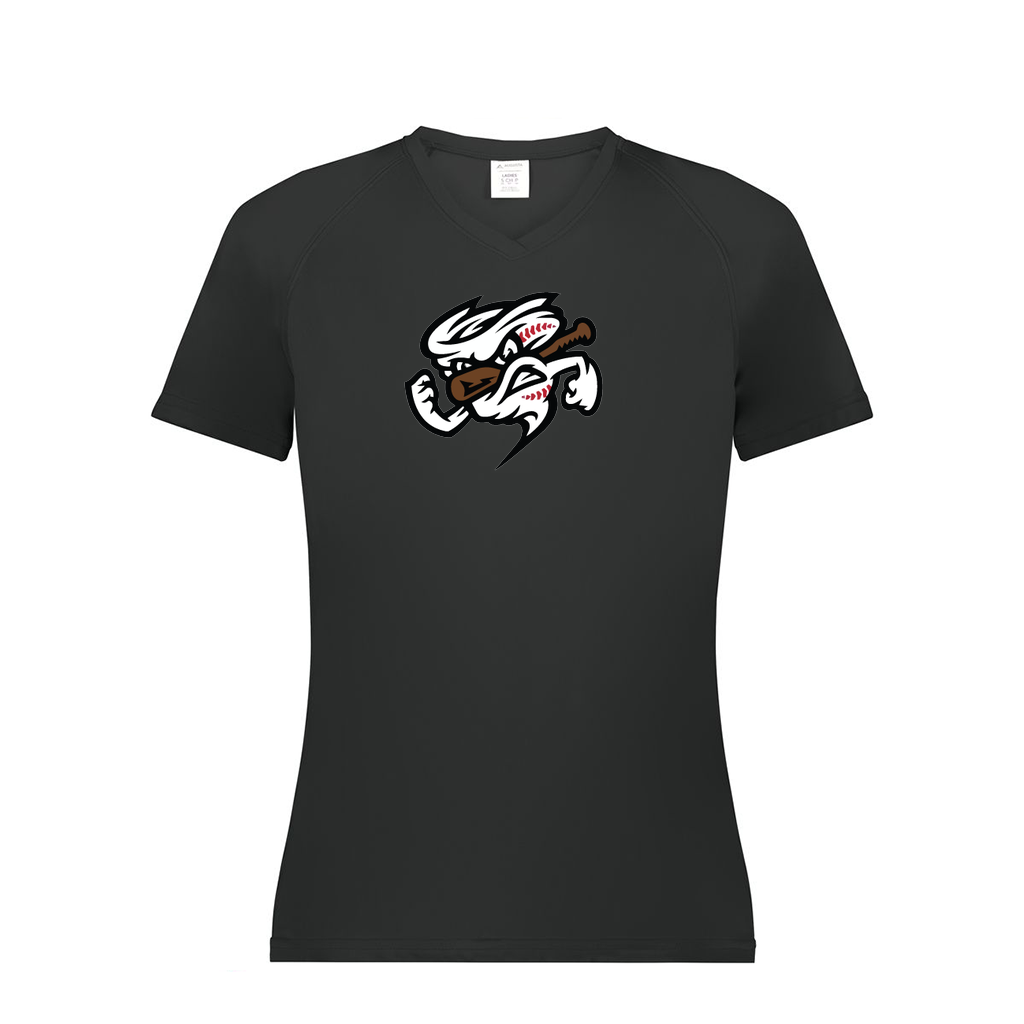 Ladies Smooth Sport V-Neck T-Shirt